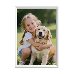 15.6″ E Ink Digital Photo Frame & Wall Art Display